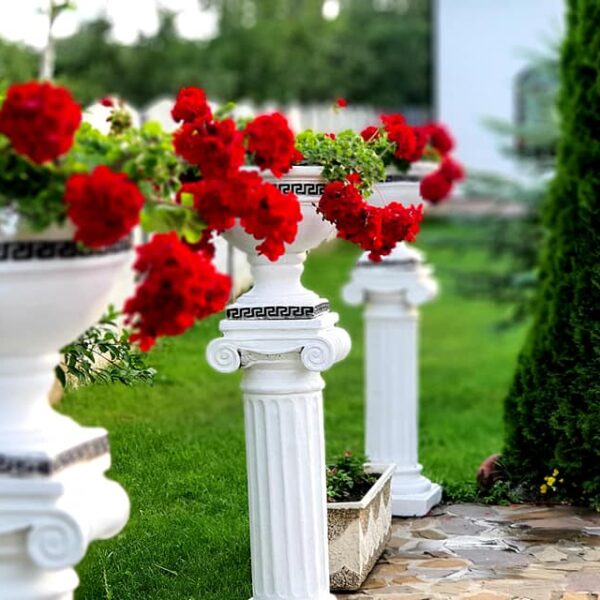 asociatia-sfantul-calinic-1